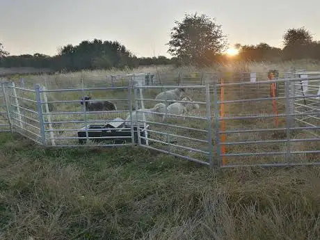 Photo de Malthouse Meadows