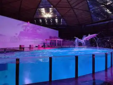 Dolfinarium