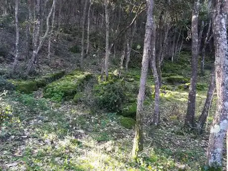 Cascata