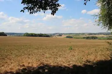 Schweibergerbos
