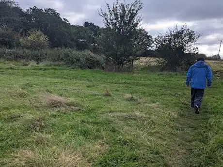 Brickfield and Long Meadow
