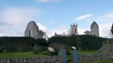 Photo de Dromiskin Monastic Site
