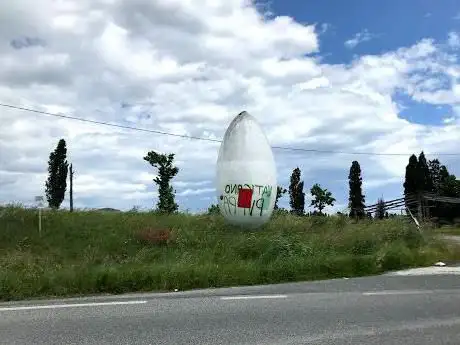 Photo de L' ovo