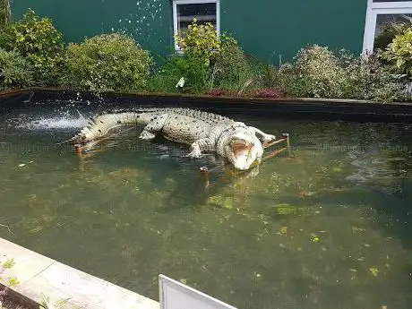 Photo de Tropical World