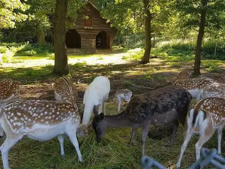 Tierpark Tannenbusch