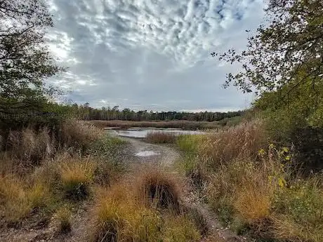 Weerterbos