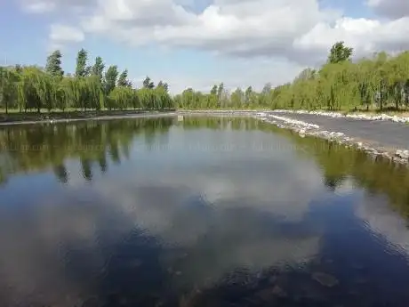 Photo de Ring Verde