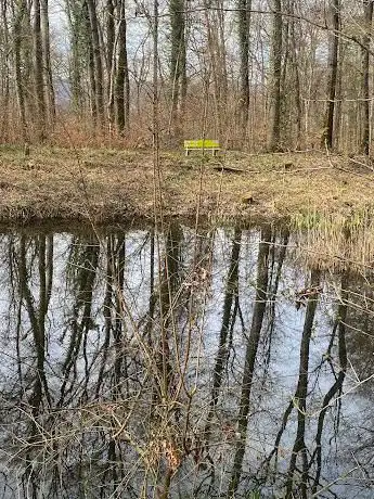 Photo de Fiechtenrain-Schaubenlache