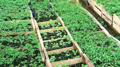 Les Jardins Autonomes Liber-Terre