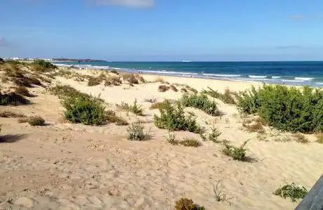 Photo de Playa La Barrosa  Novo Sancti Petri
