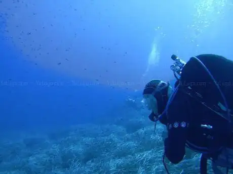Photo de Profondo Blu Ustica Srl