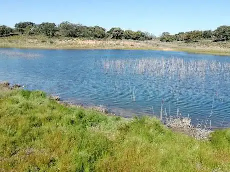 Photo de Laguna de los tres Arroyos