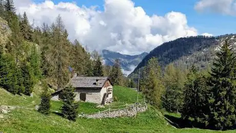 Photo de Baitone of Sesto S. Giovanni