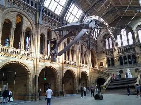 Photo de The Natural History Museum Shop