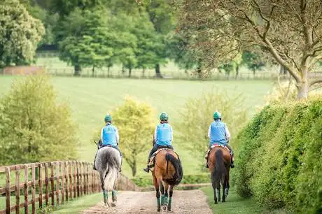 Photo de Longholes Ltd