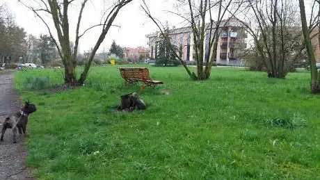 Photo de Parco Bertrami