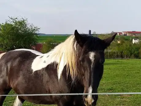 Photo de Terrain de foot à Beuveille