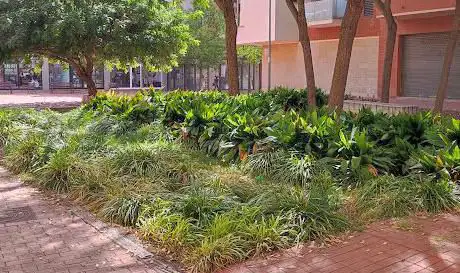 Photo de Plaça de Maria Artigal