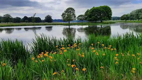 Tatton Park bird hide