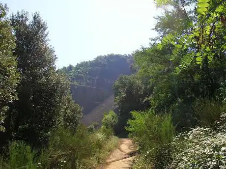 Photo de Ruta al Volcà Croscat