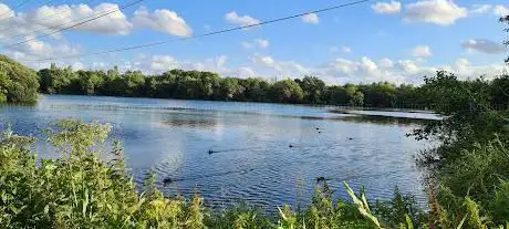 Ducklington Lake