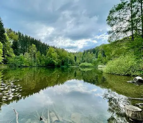 Steinhauser Waldweiher