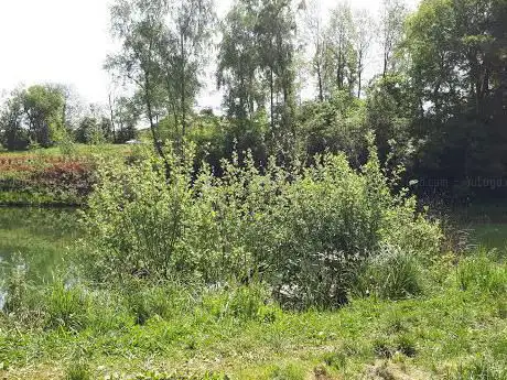 Photo de Étang de la Couleuvre