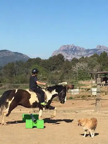 Photo de HÃÂpica La Vinya | Centre d'activitats eqüestres