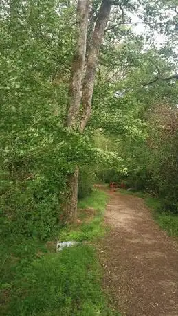 Photo de Guignardière Woods