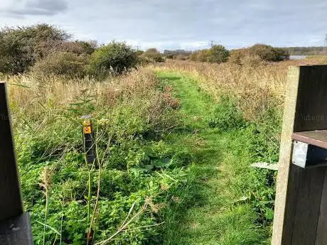 Vogelobservatiehut Groene Strand