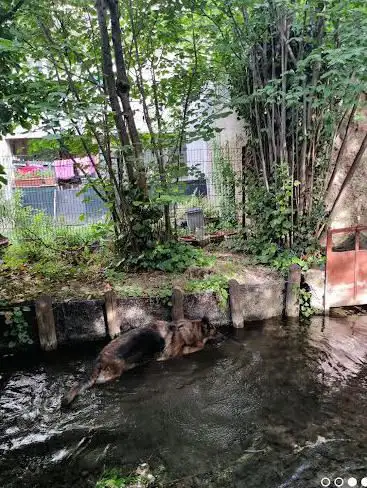 Photo de Canal De Chateauvert
