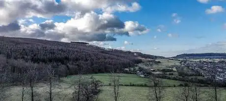 Photo de Guisborough Woods