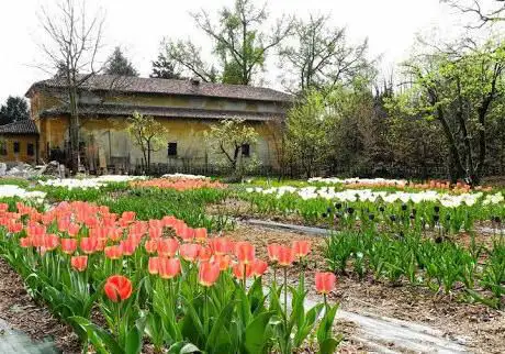 Photo de Giardini Borromeo