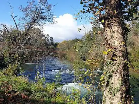 Vieiro fluvial de Mondariz-Balneario