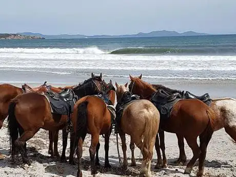 Maneggio Sulcis - horse riding - escursioni a cavallo - reiten Sardinien - balade a cheval