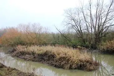 Eiland van Mariekerke