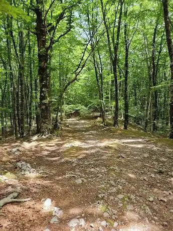 Photo de Neviere del Monte Faito