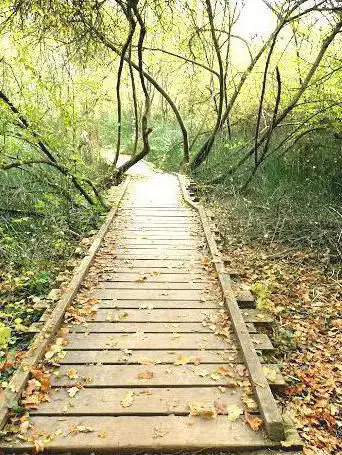 Auen Wildnispfad