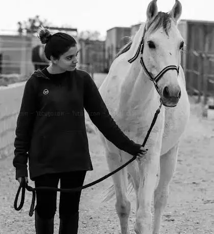 Photo de HÃÂpica Happy Horse