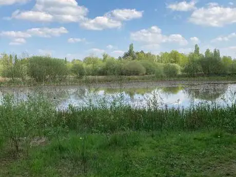 Photo de Beemden natuurgebied Kleine Netevallei