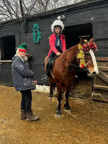 Photo de Aldersbrook Horses & Ponies