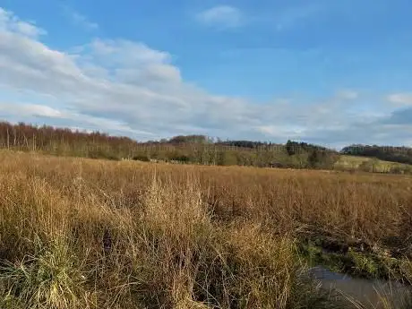 Photo de Balgownie Woodland Walk