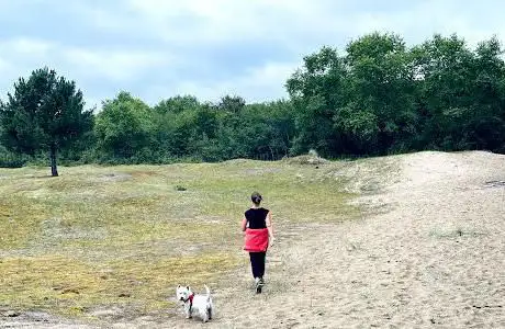 Photo de Dunes d'Écault
