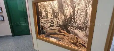 Museo del gipeto