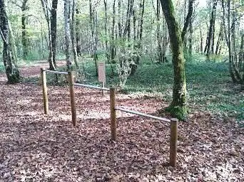 Photo de Parcours Sportif