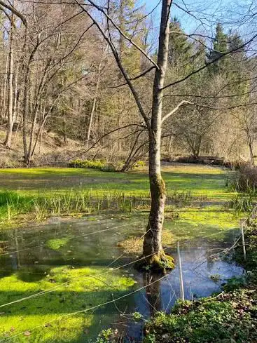 Photo de Bleiki Nature Reserve