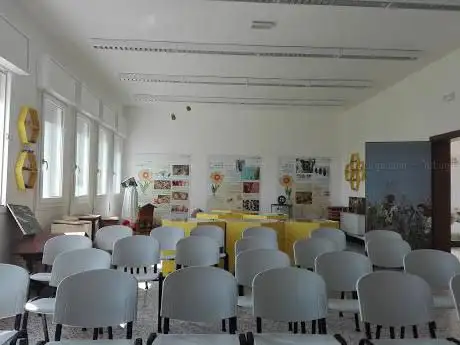 Photo de Museo del Miele • Centro Apicoltura Ca' Cappellino