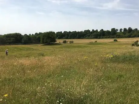 Photo de SEVEN BARROWS Neolithic Burial Ground
