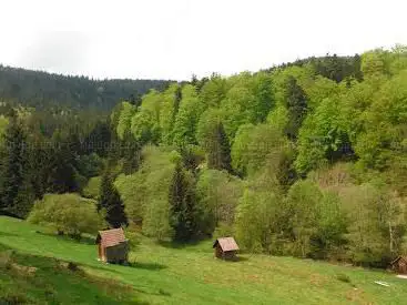 Milbigwiesen