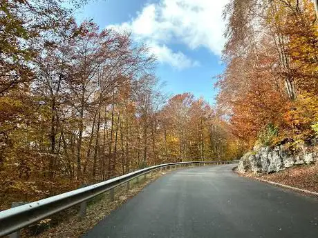 Photo de Fattoria del Legno di Andrea Zenari